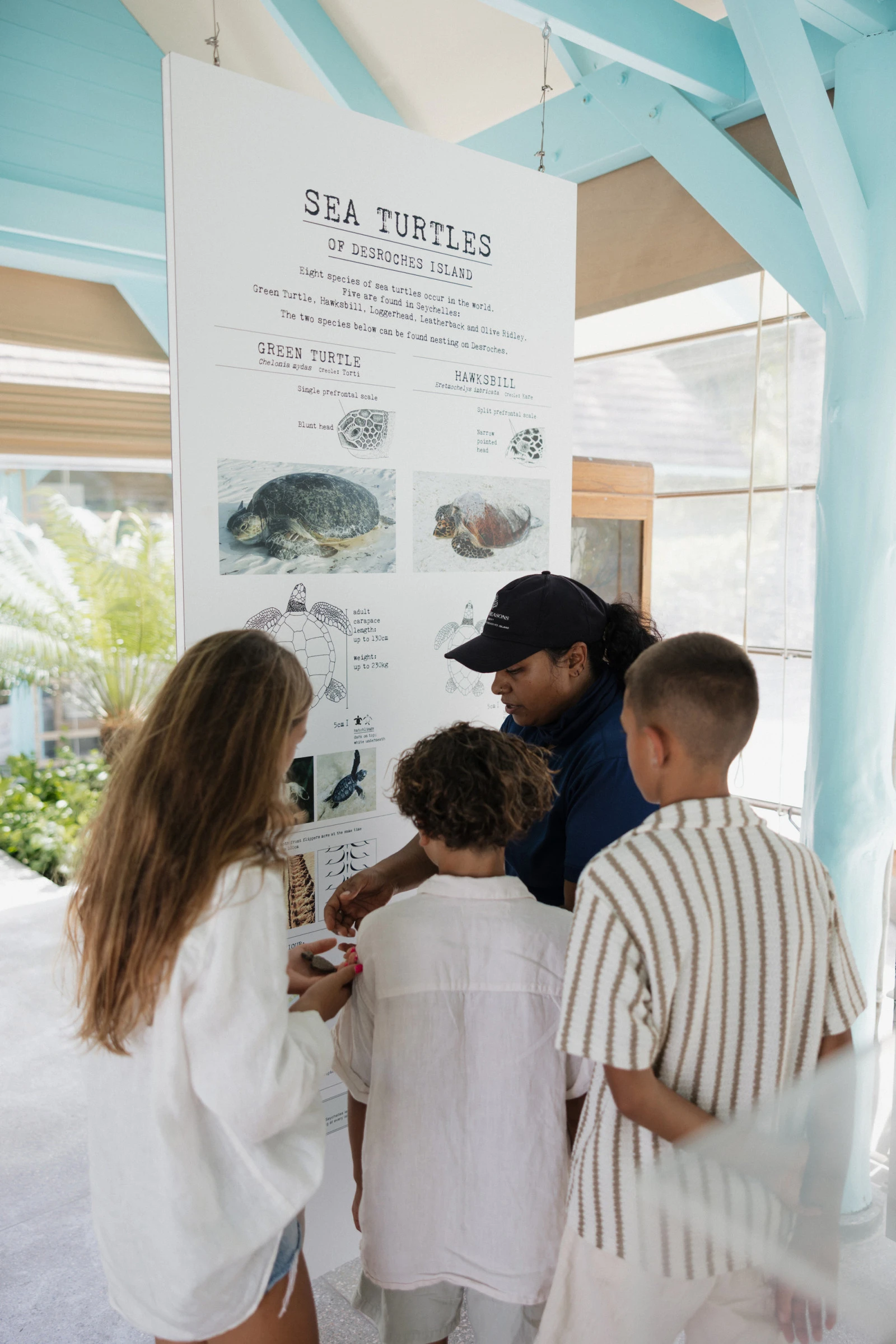 Four Seasons Resort Seychelles на острове Дерош отмечает начало сезона гнездования черепах бисса захватывающими экологическими программами