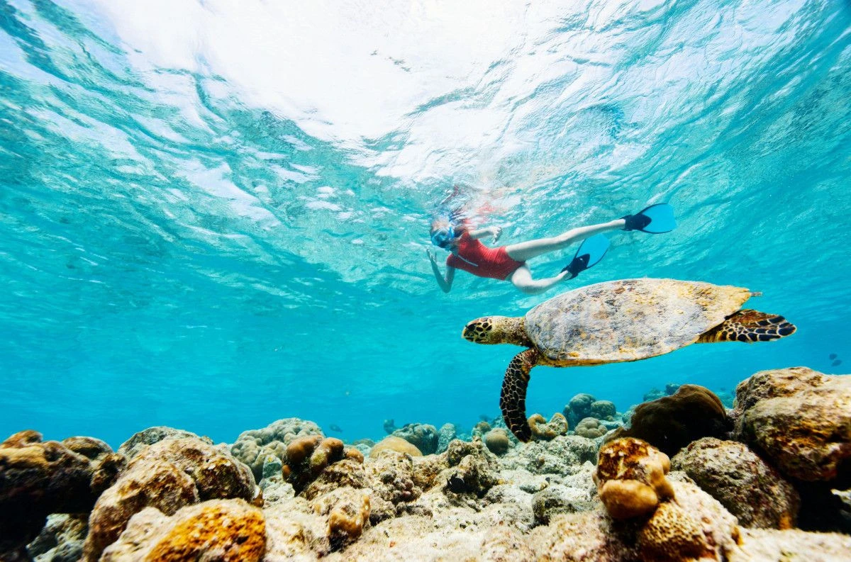 Grand Park Kodhipparu Maldives представляет «Kodhipparu Reef Connection» — новый формат знакомства с удостоенным наград домашним рифом Мальдив