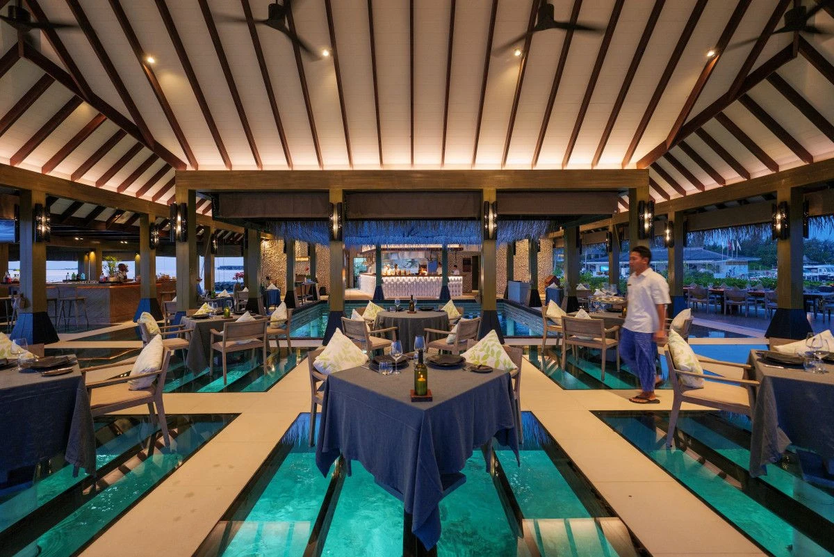 Grand Park Kodhipparu Maldives представляет «Kodhipparu Reef Connection» — новый формат знакомства с удостоенным наград домашним рифом Мальдив