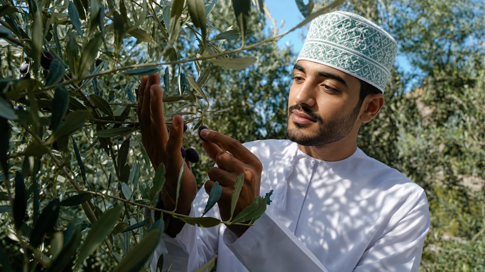 Anantara Al Jabal Al Akhdar отмечает оливковое наследие Омана пятым ежегодным фестивалем урожая