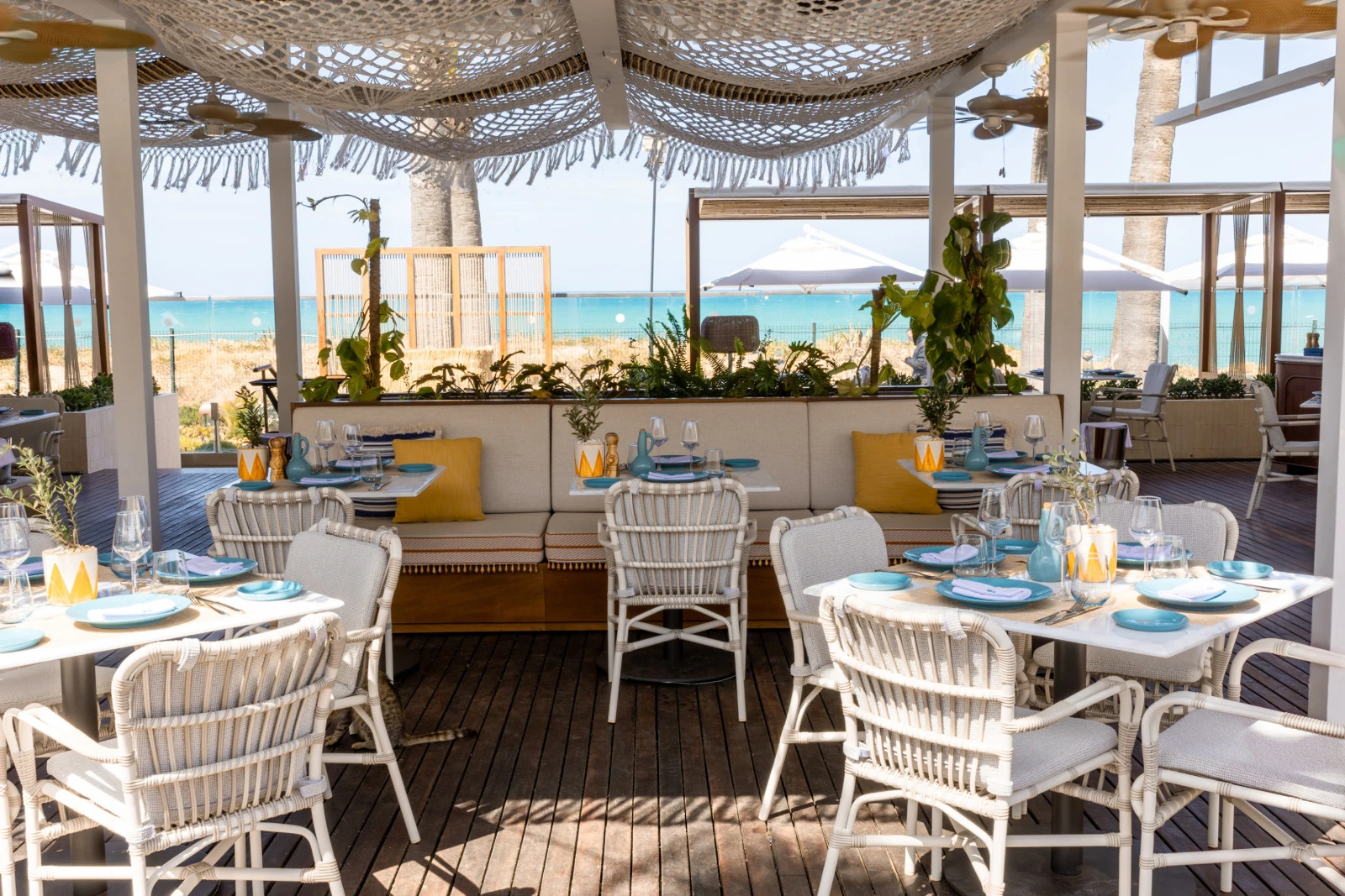 Афинский колорит в Four Seasons Hotel Tunis: Греческая неделя в ресторане BLU Seafood Kitchen & Bar