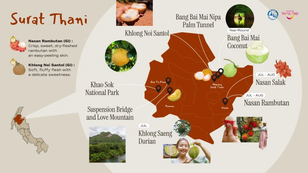 Юг Таиланда по сезонам: проект Southern MUST TASTE Thai Fruits