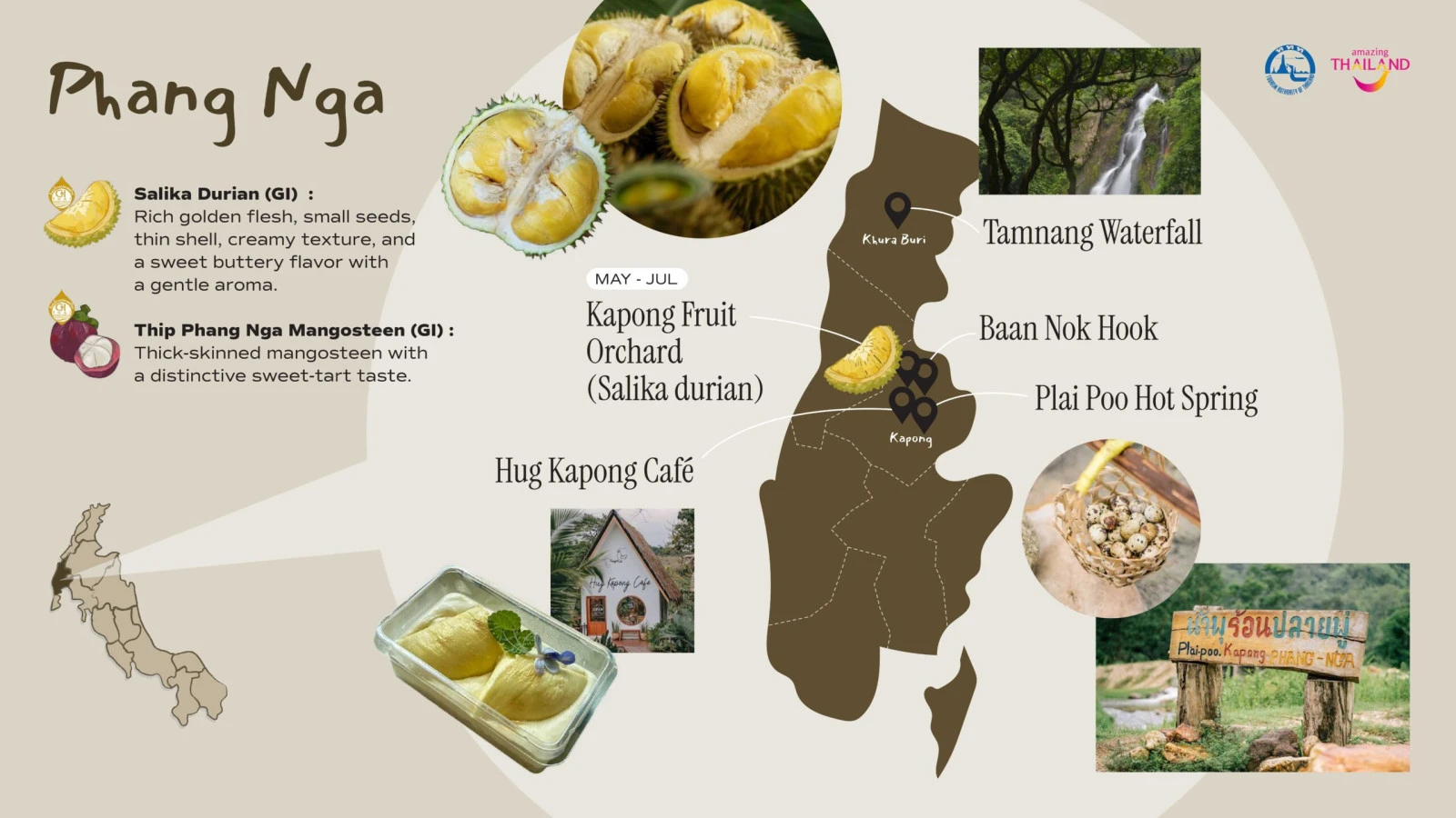 Юг Таиланда по сезонам: проект Southern MUST TASTE Thai Fruits