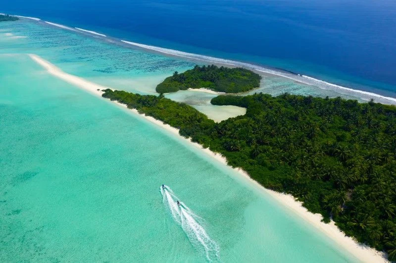 Kandima Maldives объединяет международных футбольных звёзд и выставку «Искусство для биоразнообразия», поддержанную ПРООН