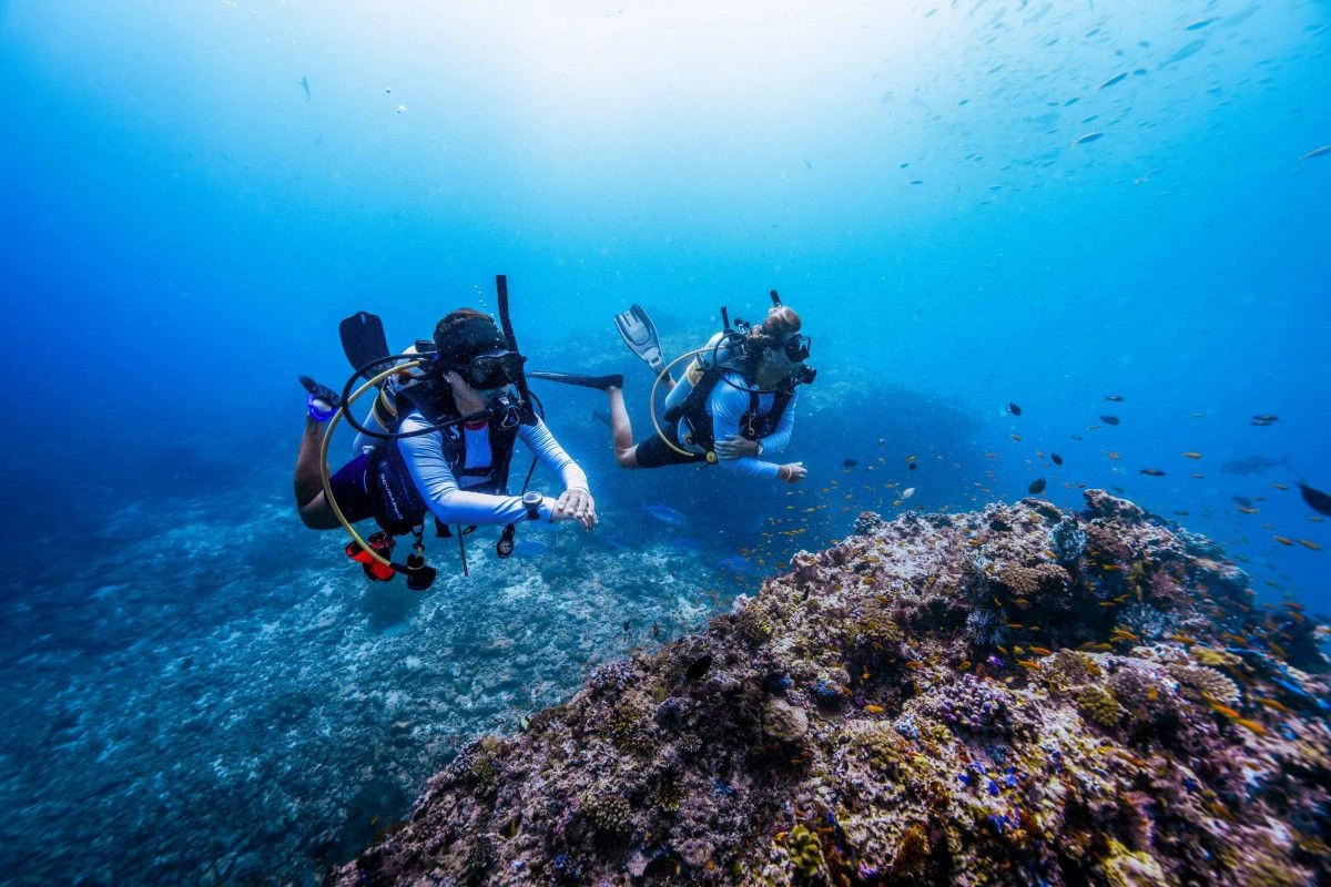 Nova Maldives и PADI проведут неделю Project AWARE в сентябре