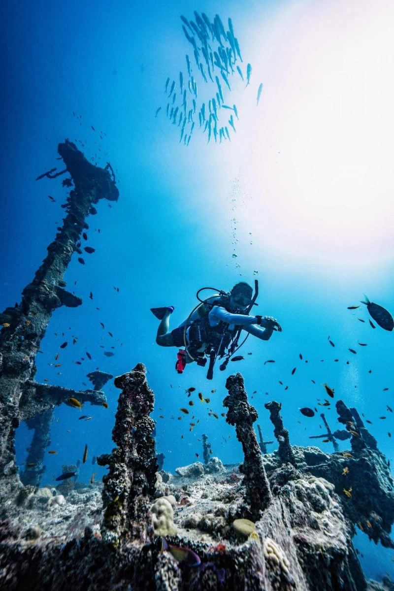 Nova Maldives и PADI проведут неделю Project AWARE в сентябре