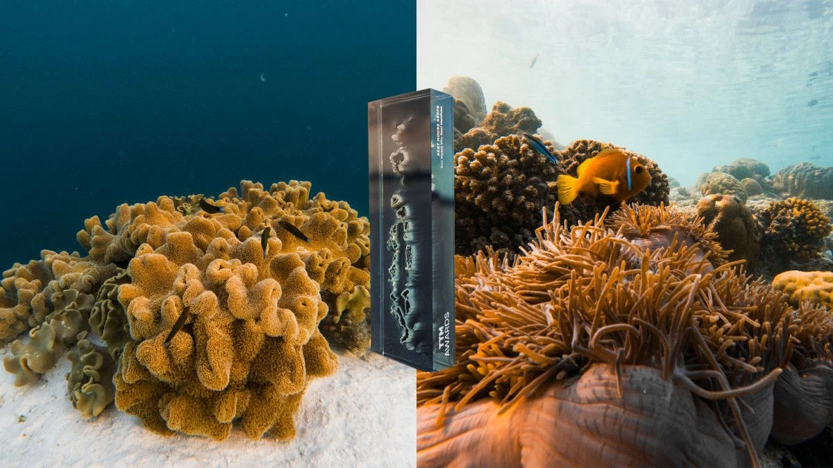 Sun Siyam Vilu Reef признан лучшим домовым рифом на премии TTM Awards 2026