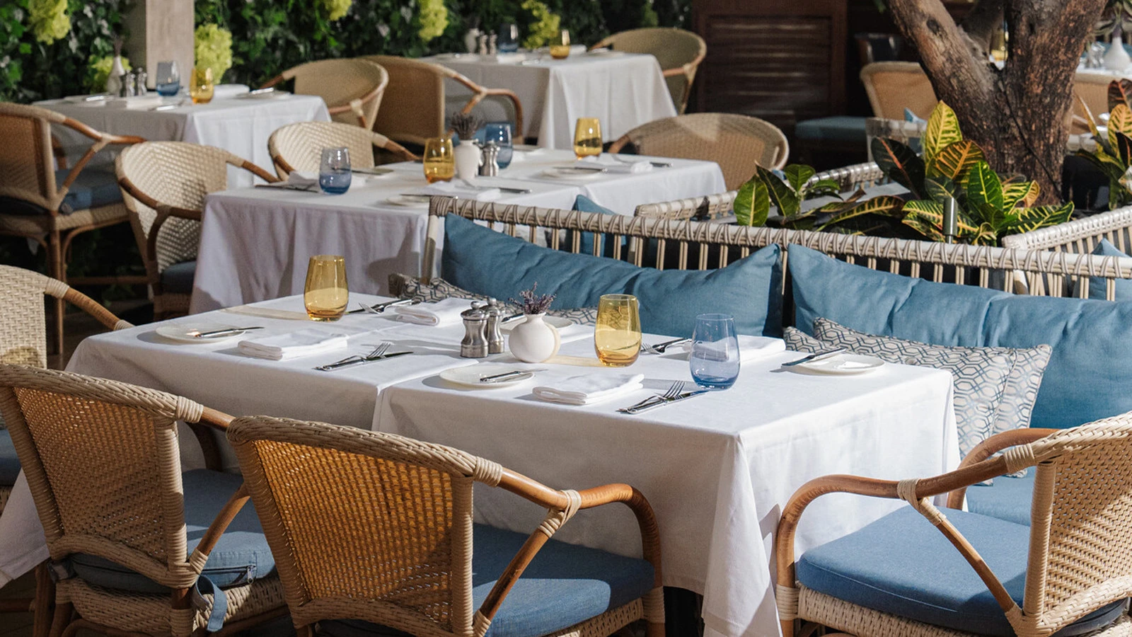 Аперитиво в ресторане MINA Brasserie отеля Four Seasons Hotel Dubai International Financial Centre