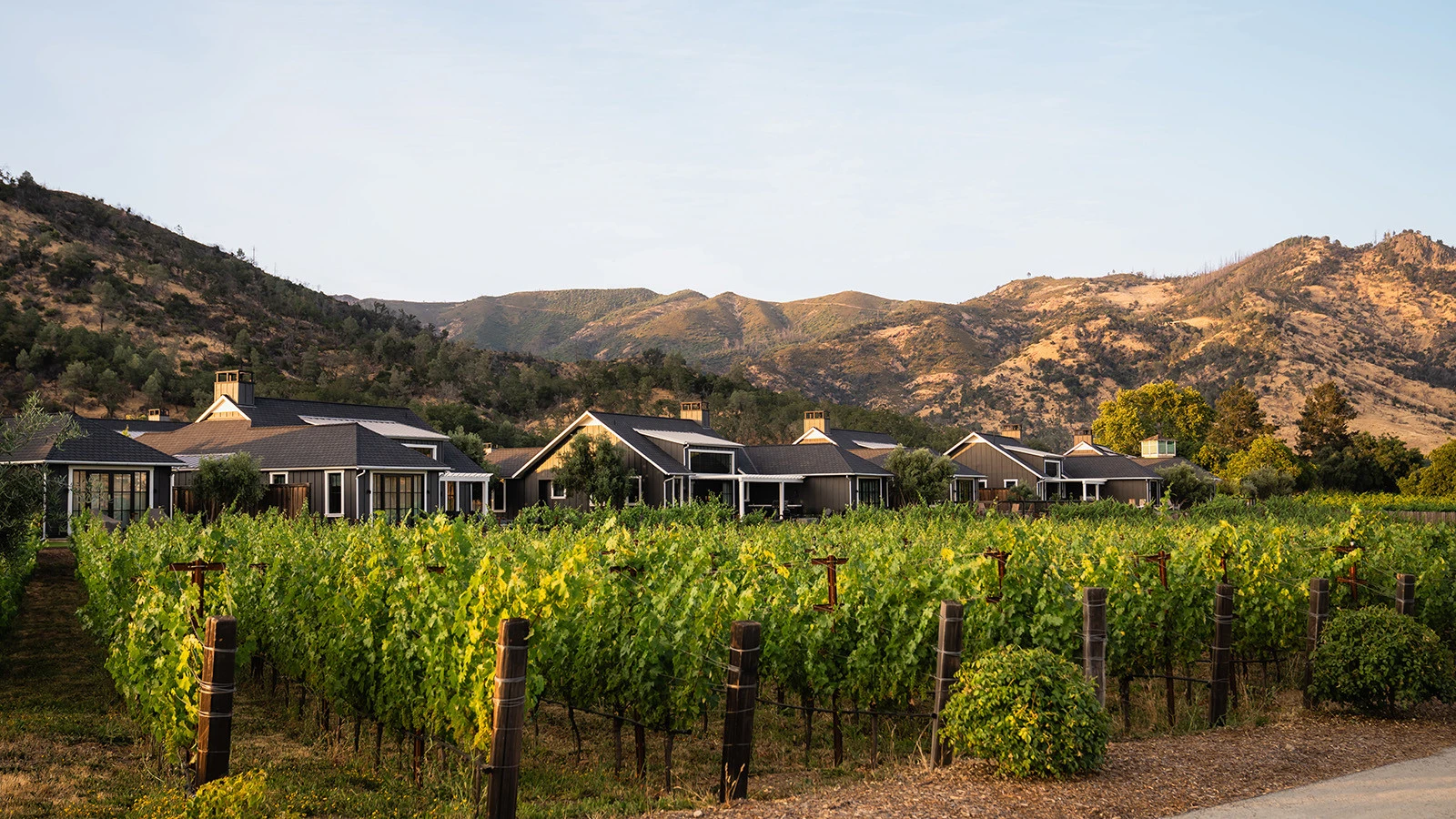 Four Seasons Resort and Residences Napa Valley признан лучшим винным отелем в США