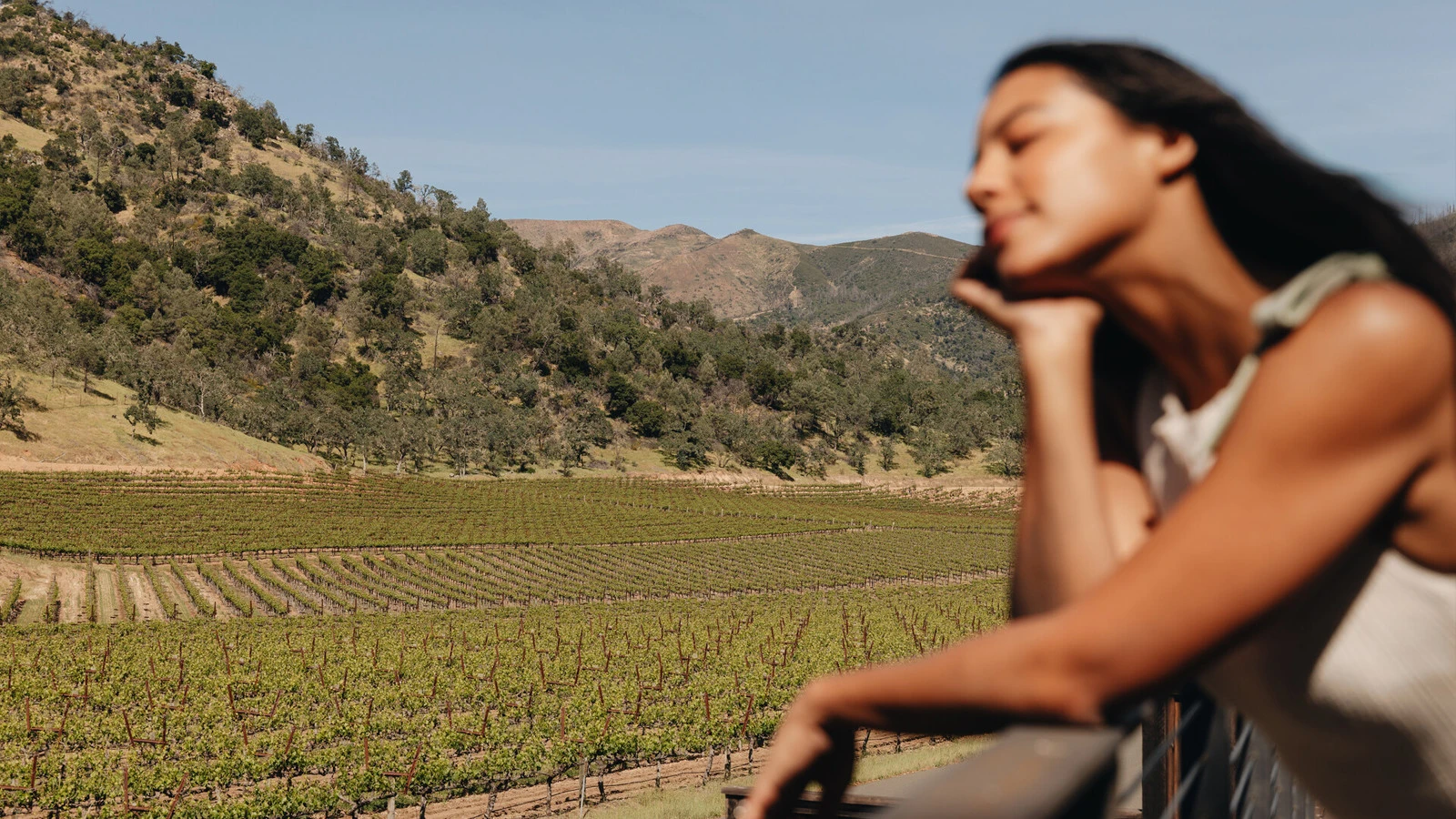 Four Seasons Resort and Residences Napa Valley признан лучшим винным отелем в США