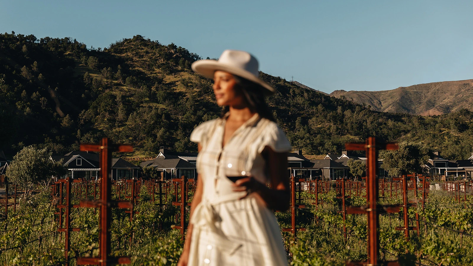 Four Seasons Resort and Residences Napa Valley признан лучшим винным отелем в США