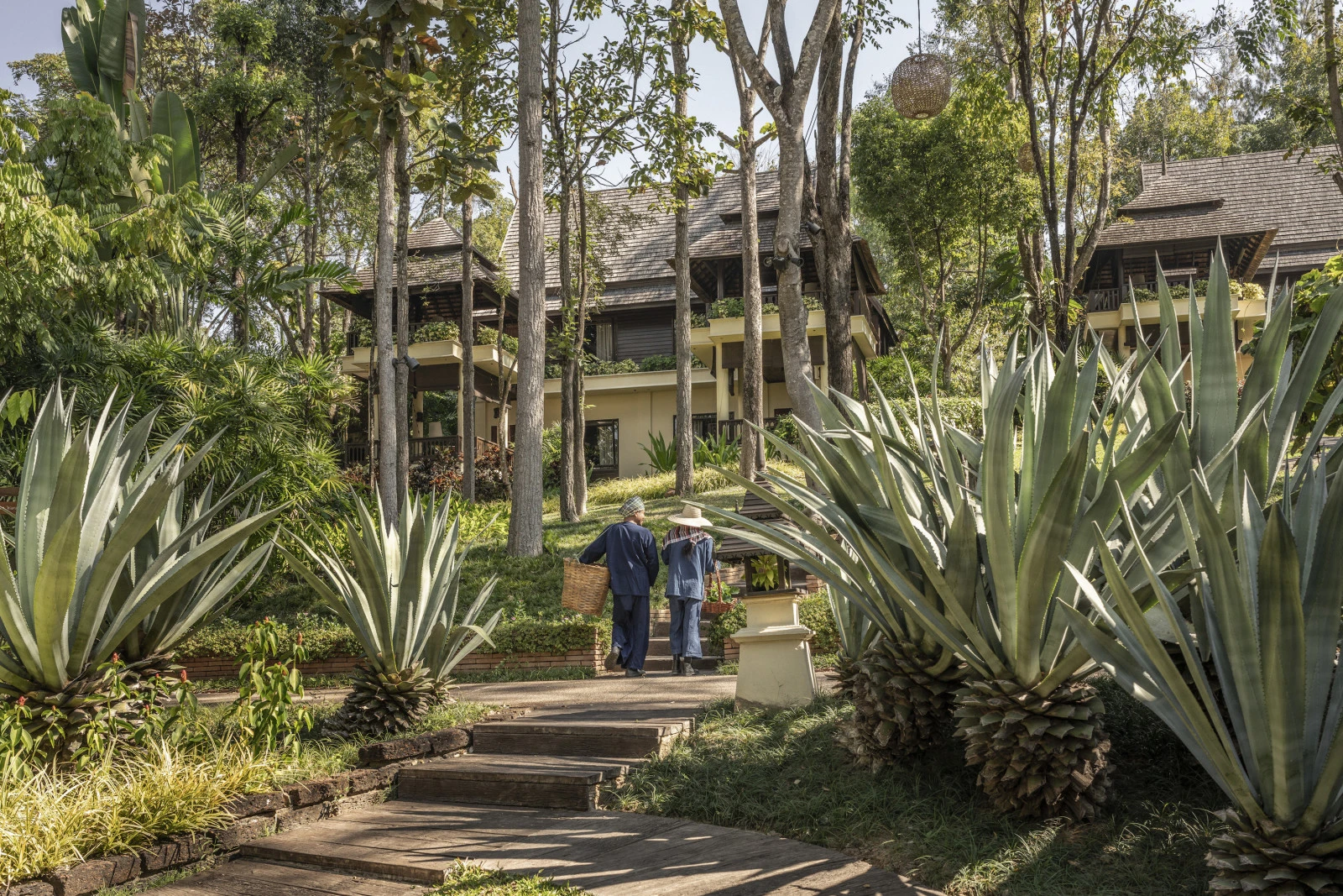 Курорт Four Seasons Resort Chiang Mai в третий раз подряд удостоен трёх ключей Michelin