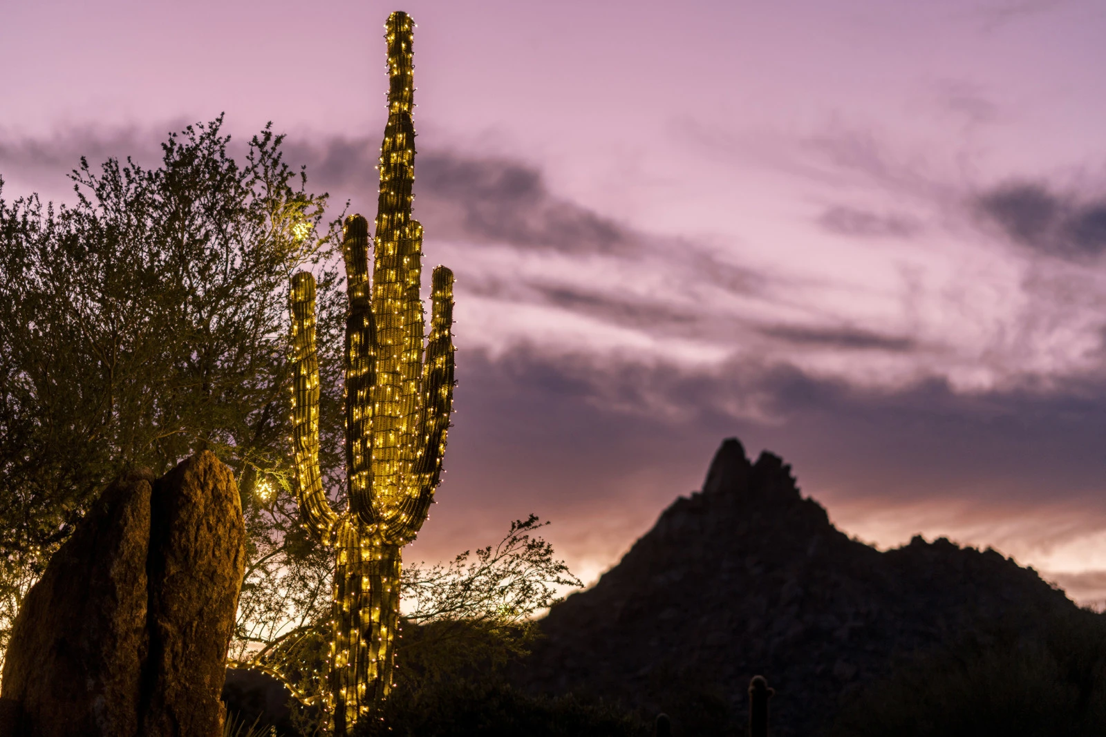 Праздничный сезон в Four Seasons Resort Scottsdale: гастрономические впечатления и торжественные события