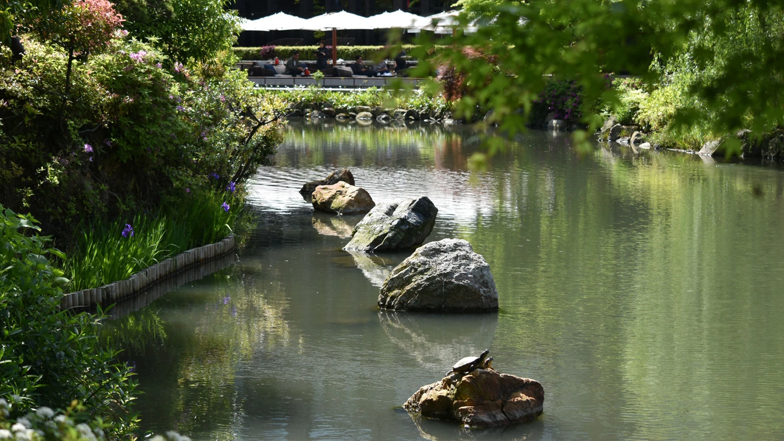 Отель Four Seasons Kyoto отмечает 10-летие: гастрономические впечатления в золотых тонах и осеннее предложение на проживание