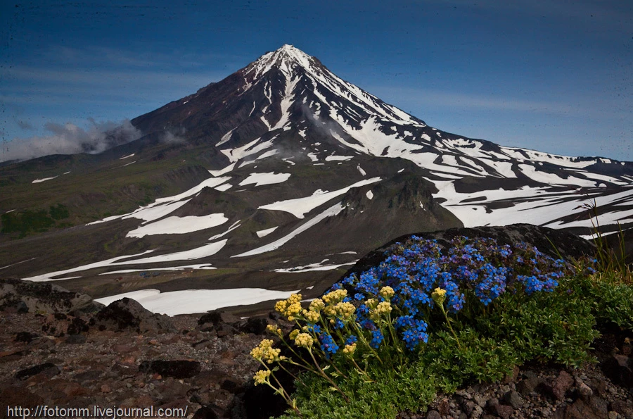 Камчатка. Июньская мозаика 2026