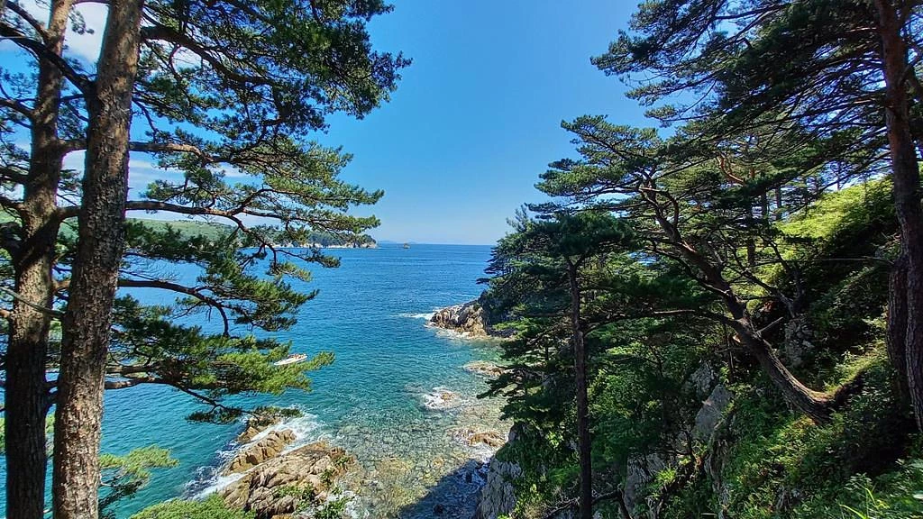 Тур "Четыре истории"