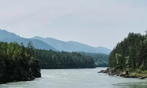 Дары Алтая