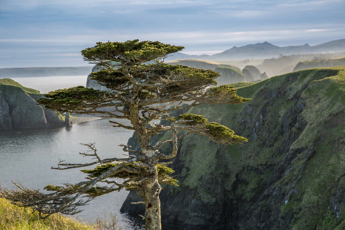 3 острова: Сахалин, Кунашир и Шикотан