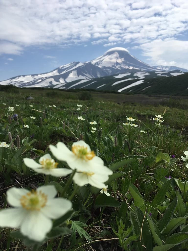 Джип-тур к Авачинскому вулкану (гора Верблюд).
