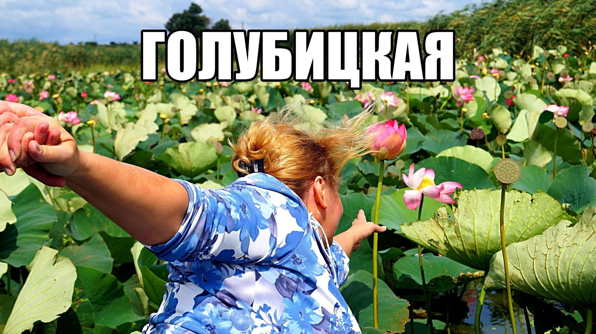 Азовское море (станица Голубицкая) -  автобусный тур