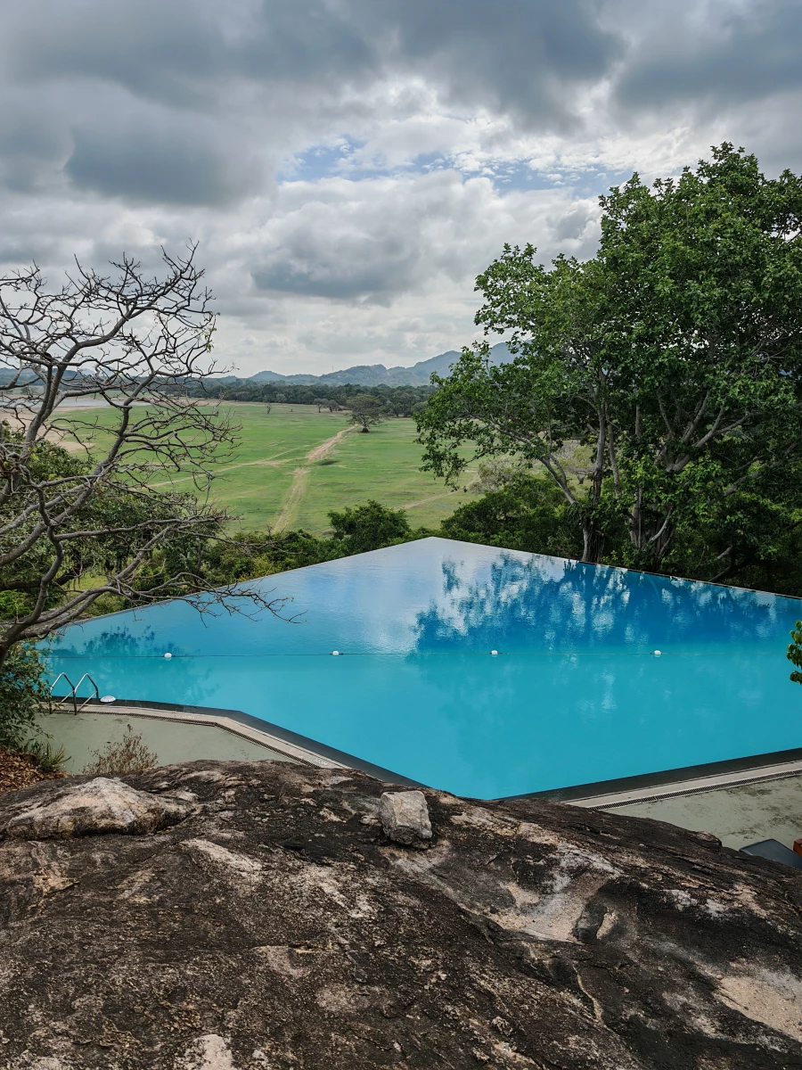 Большое путешествие по Шри-Ланке 2026