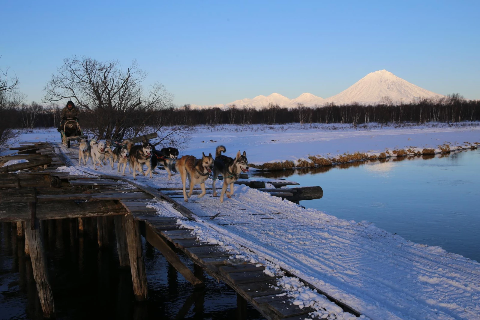 Экскурсия в питомник ездовых собак "Эйвет", катание на упряжках