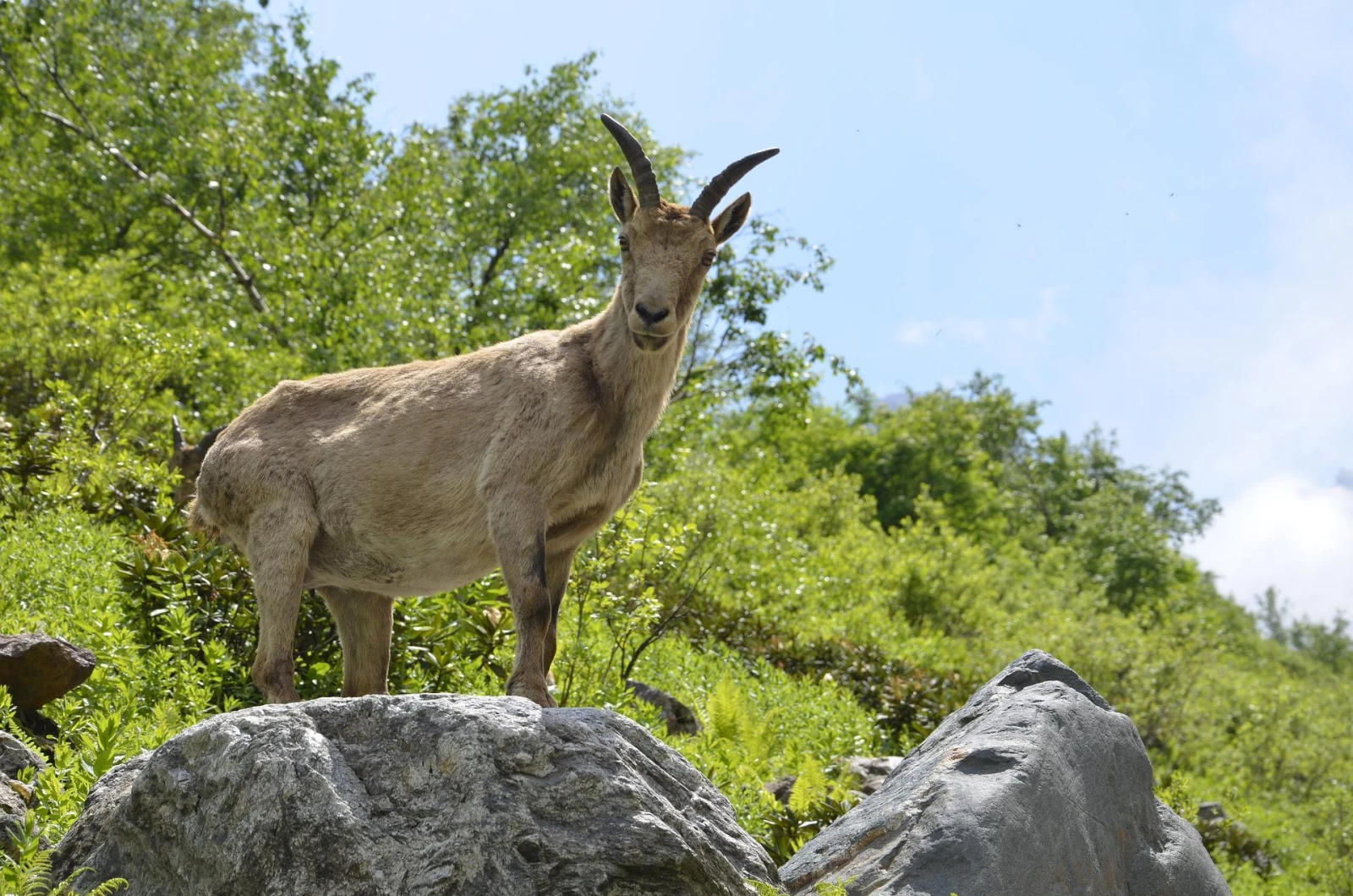 Кавказ – погружение в историю и традиции - 8 дней / 7 ночей