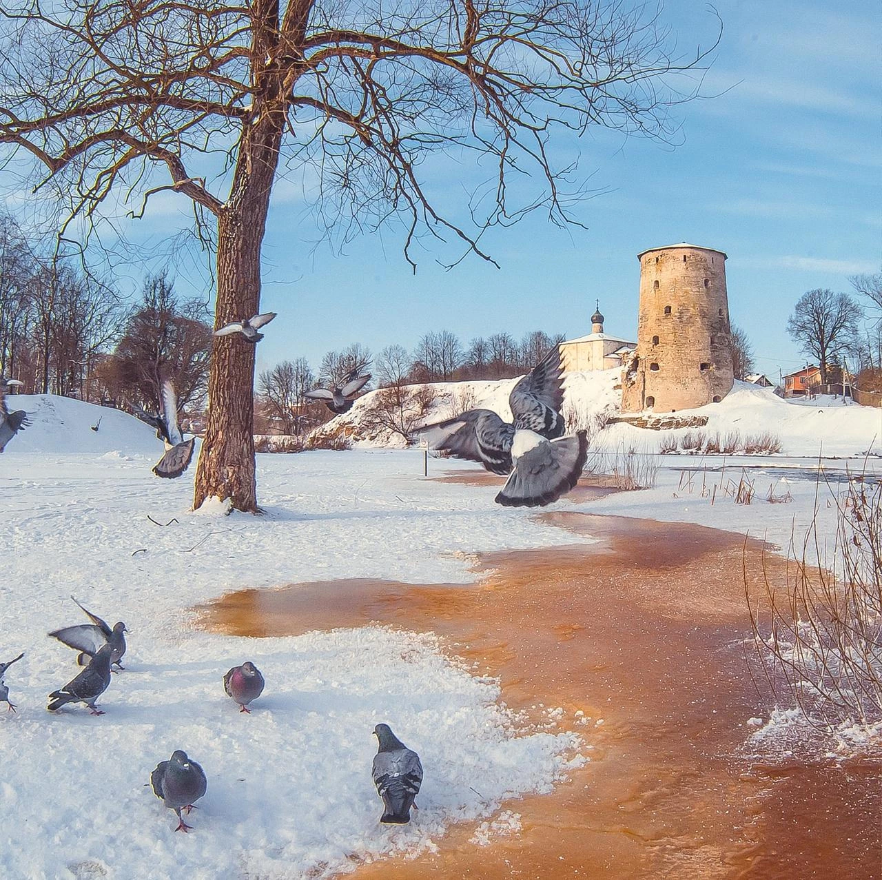 Новый Год в Пскове 4 дня (без проживания)