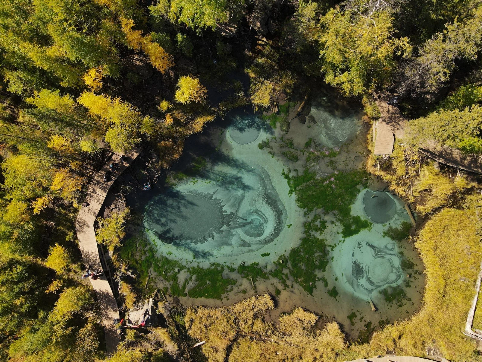 Тур выходного дня по Чуйскому тракту Алтай