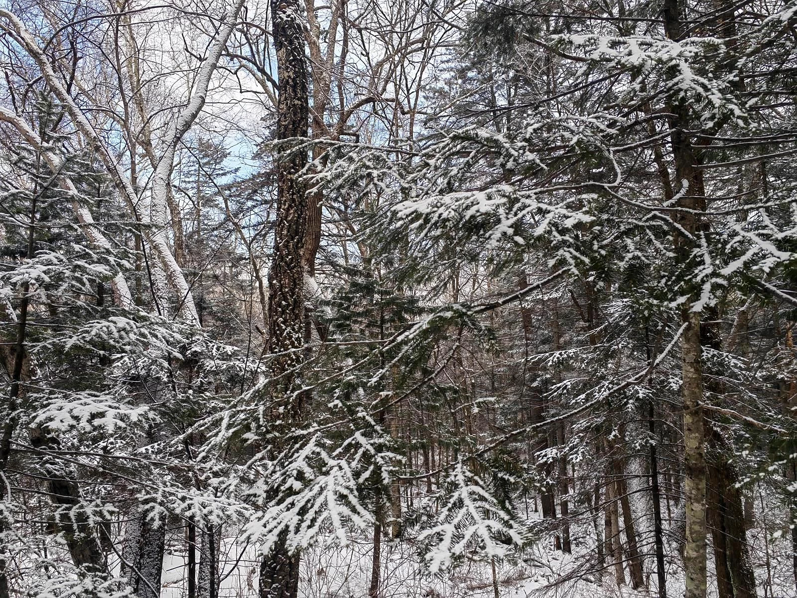 Водопад Горбатый