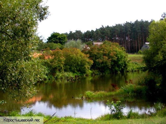  Украина (экскурс.)