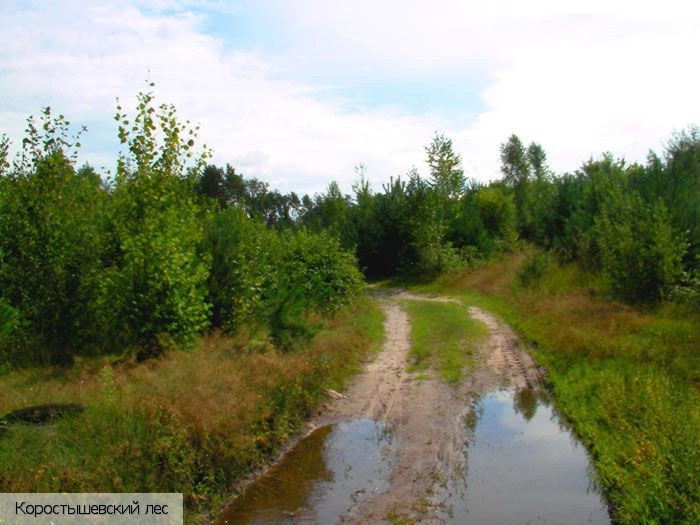  Украина (экскурс.)