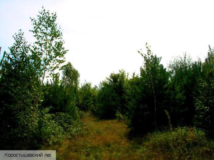  Украина (экскурс.)
