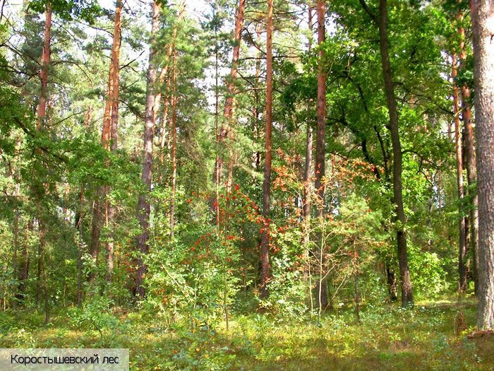  Украина (экскурс.)