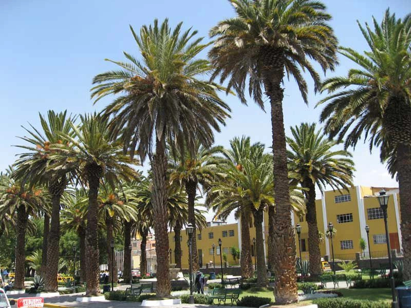 Арекипа