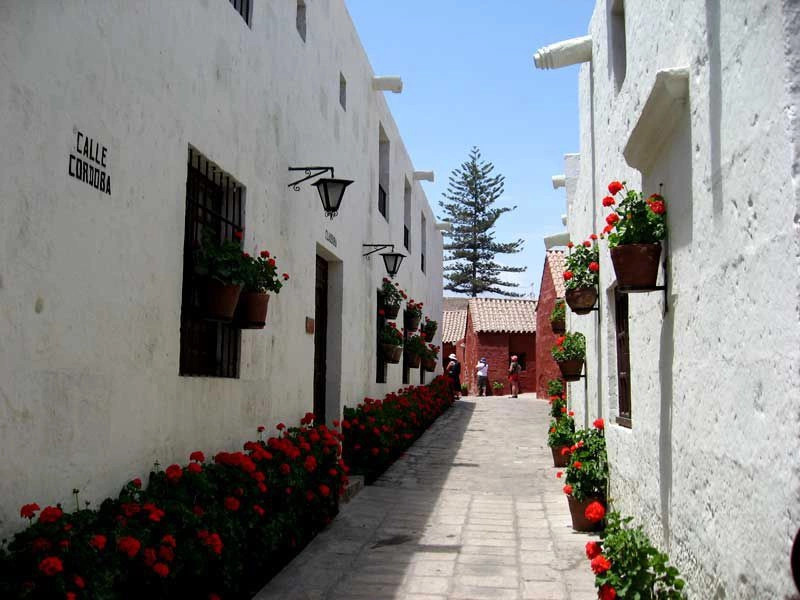 Арекипа