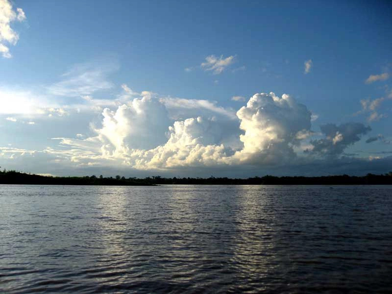Джунгли Амазонки