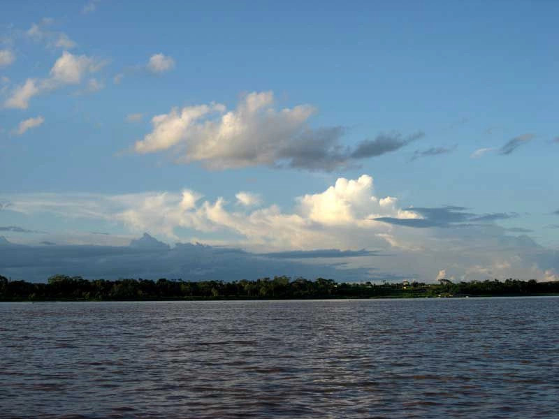 Джунгли Амазонки