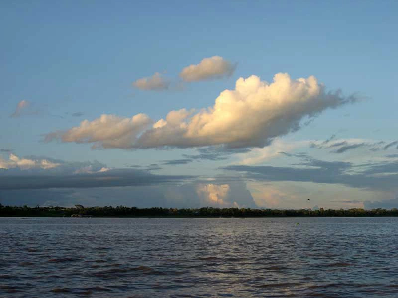Джунгли Амазонки