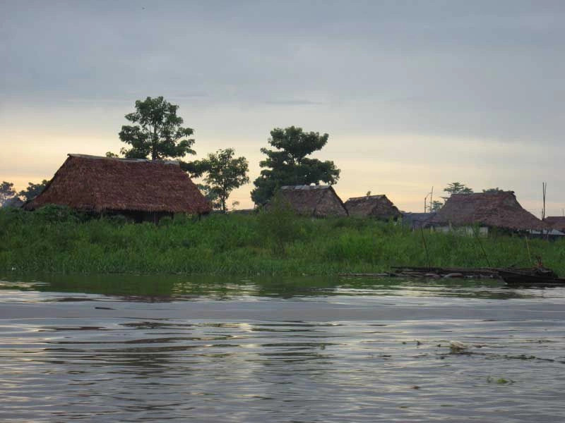 Джунгли Амазонки