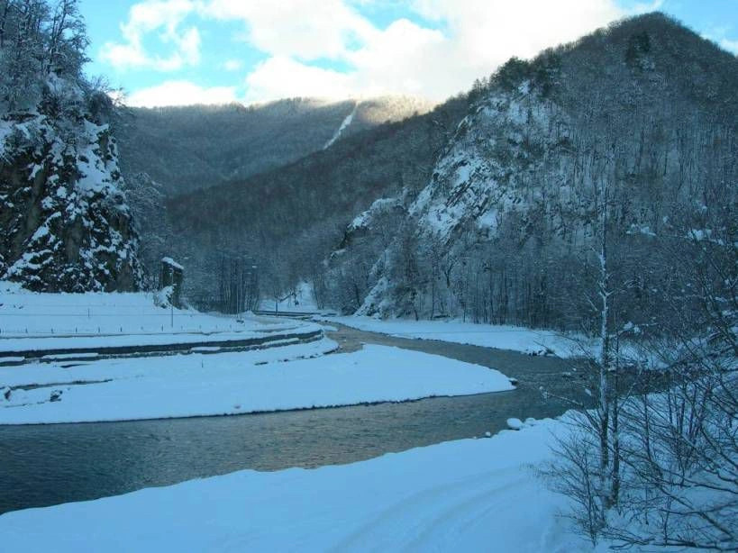 Краснодарский край