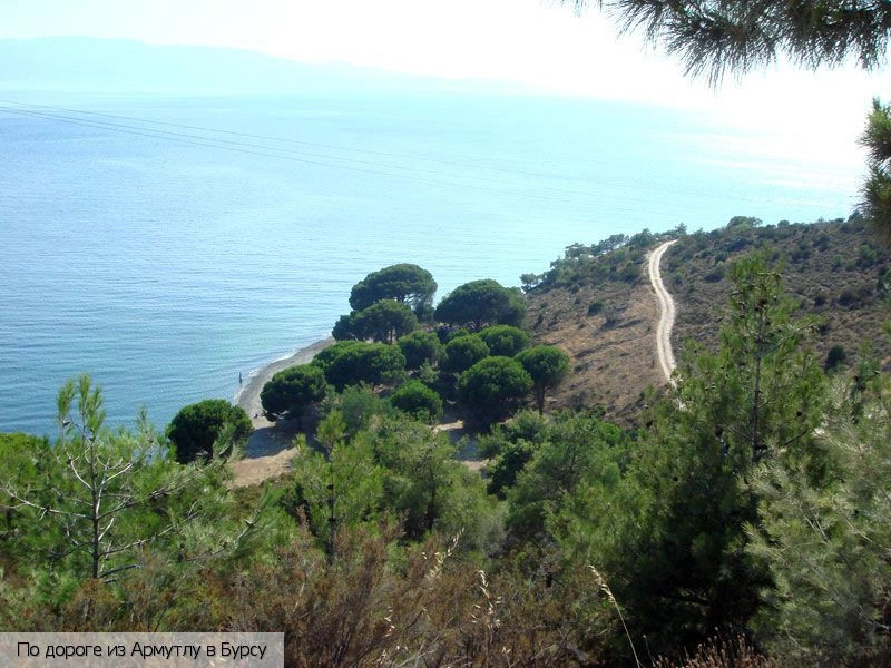 Ялова