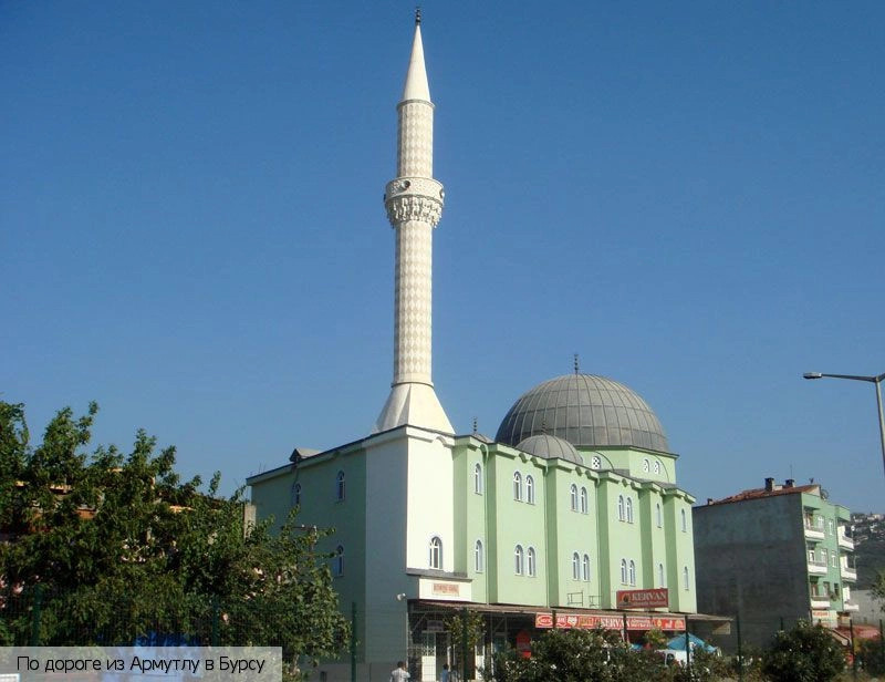 Ялова