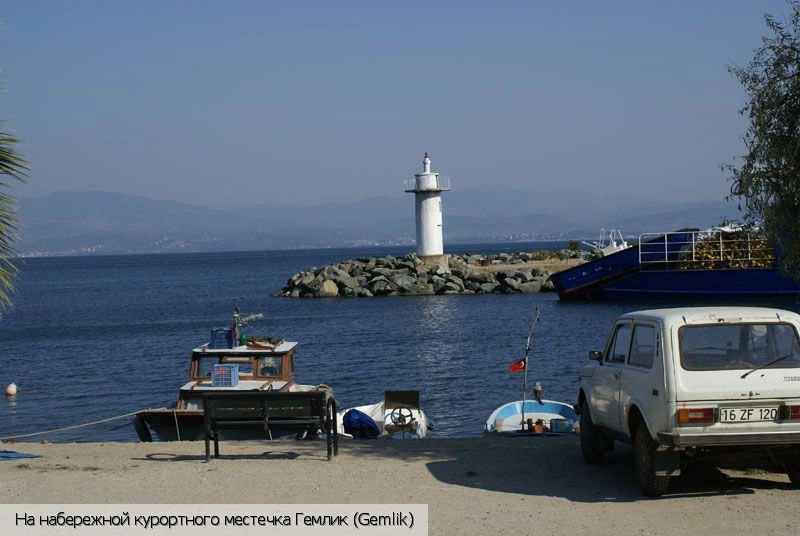 Ялова