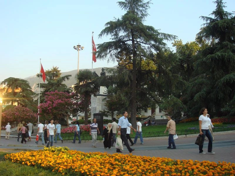 Бурса