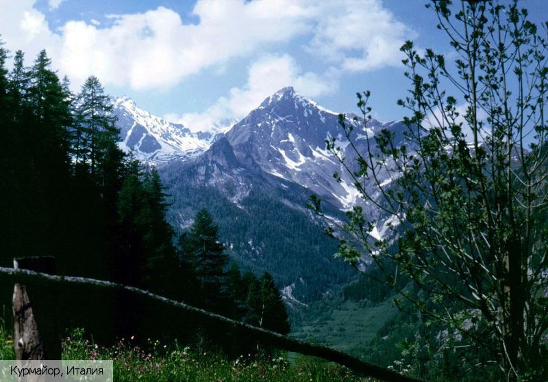 Курмайор