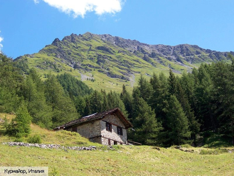Курмайор