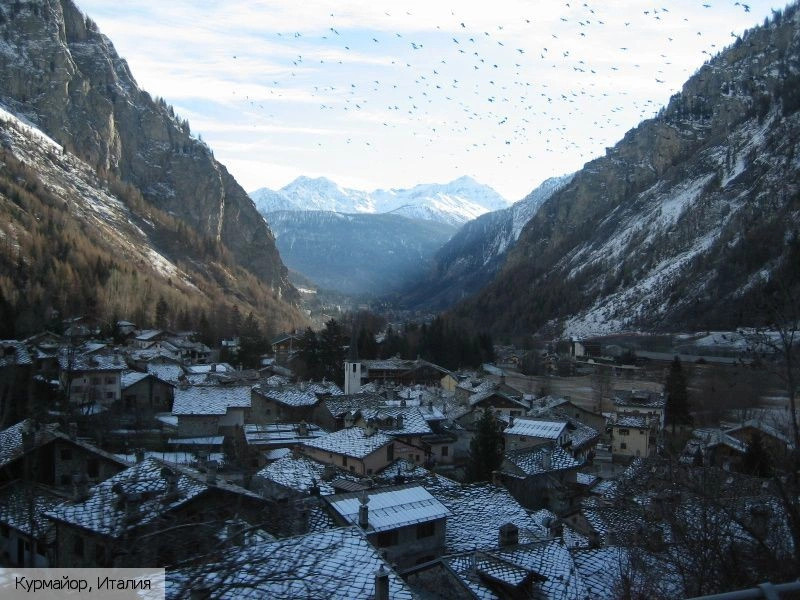Курмайор