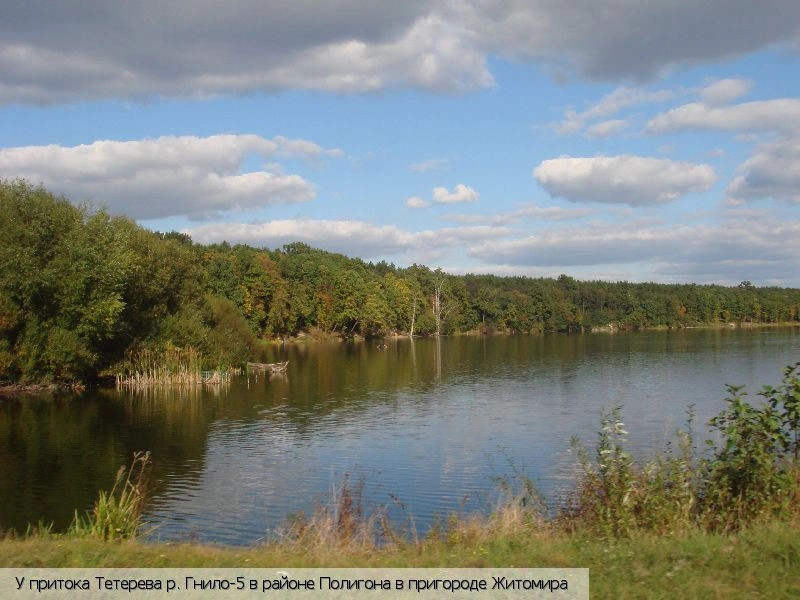 Житомирская обл.