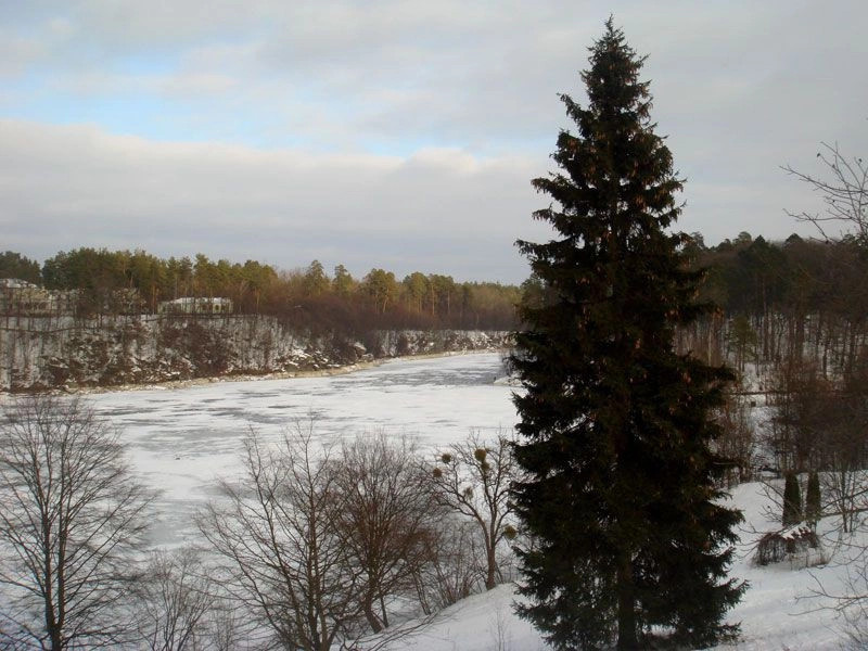 Житомирская обл.